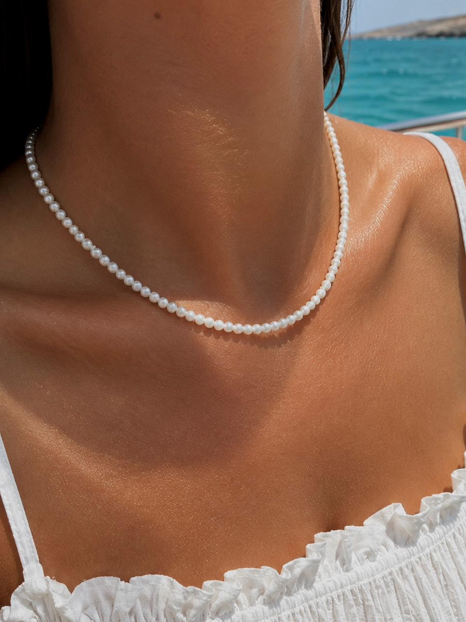 Seashell
